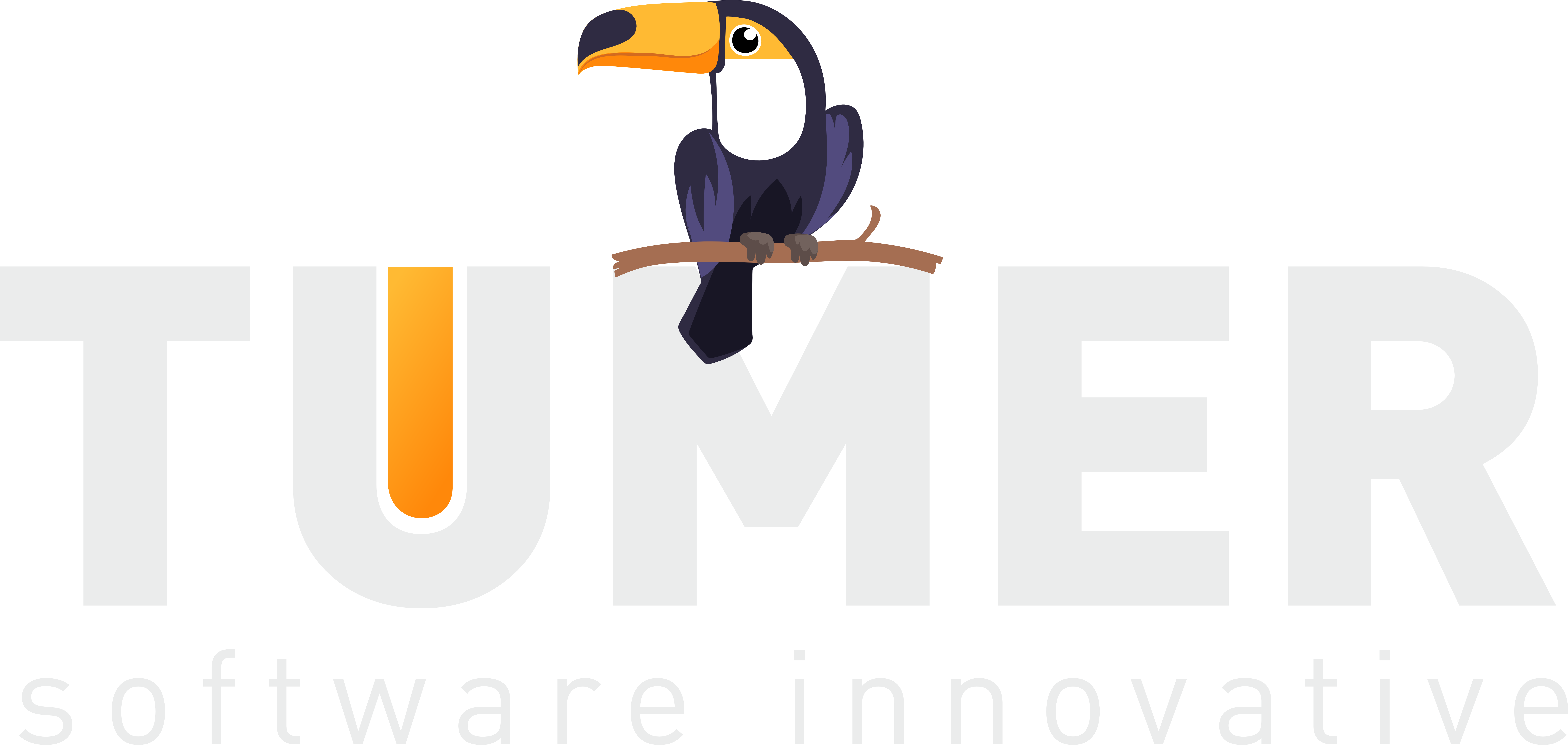 Tumersoft